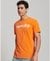 VINTAGE TERRAIN CLASSIC T-SHIRT
