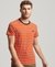 ESSENTIAL LOGO STRIPE TSHIRT