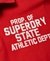 CLASSIC SUPER STATE POLO SHIRT