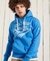 COLLEGIATE GRAPHIC OVERHEAD HOODIE