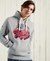 COLLEGIATE STATE OVERHEAD HOODIE
