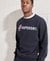 SPORTSTYLE APPLIQUE SWEATSHIRT