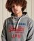 VINTAGE LOGO AMERICAN CLASSICS HOODIE
