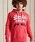 VINTAGE LOGO AMERICAN CLASSICS HOODIE