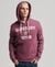 CORPORATION LOGO MARL HOODIE