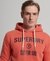CORPORATION LOGO MARL HOODIE