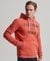 CORPORATION LOGO MARL HOODIE