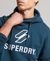 STACKED APPLIQUE LOGO HOODIE
