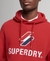 STACKED APPLIQUE LOGO HOODIE