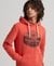 TRAVEL HOODIE