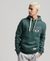 VINTAGE SCRIPT STYLE COLLEGE HOODIE