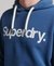 CORE LOGO CLASSIC HOODIE