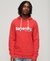 TERRAIN LOGO CLASSIC HOODIE