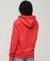 TERRAIN LOGO CLASSIC HOODIE