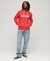 TERRAIN LOGO CLASSIC HOODIE