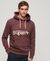 GREAT OUTDOORS LOGO PRINT HOODIE