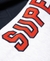 APPLIQUE ACADEMY RAGLAN CONTRAST ZIPHOOD