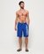 BOARDSHORTS