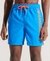 STATE VOLLEY SWIM SHORTS