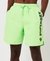 APPLIQUE 19 INCH RECYCLED SWIM SHORTS