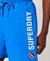 APPLIQUE 19 INCH RECYCLED SWIM SHORTS
