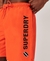 APPLIQUE 19 INCH RECYCLED SWIM SHORTS
