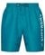 APPLIQUE 19 INCH RECYCLED SWIM SHORTS