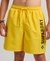 APPLIQUE 19 INCH RECYCLED SWIM SHORTS