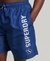 APPLIQUE 19 INCH RECYCLED SWIM SHORTS