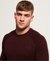 ORANGE LABEL COTTON CREW JUMPER