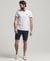 CORE CHINO SHORTS
