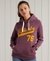 COLLEGIATE CALI STATE HOODIE