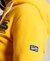 COLLEGIATE ZIP HOODIE