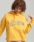 RAINBOW GRAPHIC LOGO HOODIE