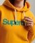 CORE LOGO 80S HOODIE