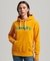 CORE LOGO 80S HOODIE