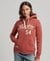 SCRIPT STYLE COLLEGE HOODIE