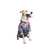 Ezra Polyester Blend Dog Shirt - Heart Stick
