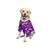Ezra Polyester Blend Dog Shirt - Military