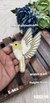 Left Side Facing Light Yellow Dove Patch