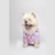 Ezra Polyester Blend Dog Shirt - Pink Lucky