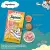 Temptations Creamy Cat Treat, Salmon & Cheese Flavour – 48 g (4 pieces)