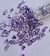 Purple hearts ( 1 gm)