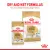 Royal Canin Chunks In Gravy Labrador Retriever Adult Wet Dog Food - 140g