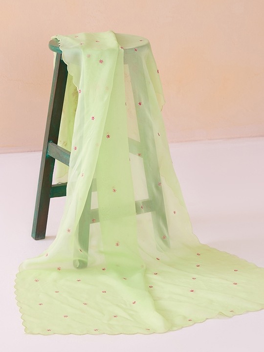 Sage Green Organza embroidered drape