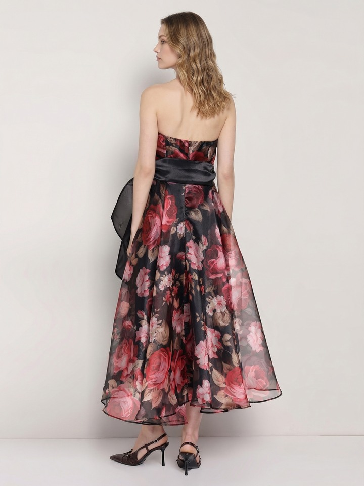 Floral Organza Printed Dress