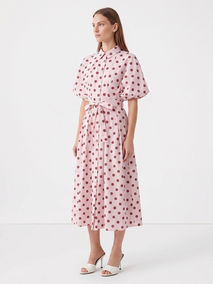 Erine Polka Dress