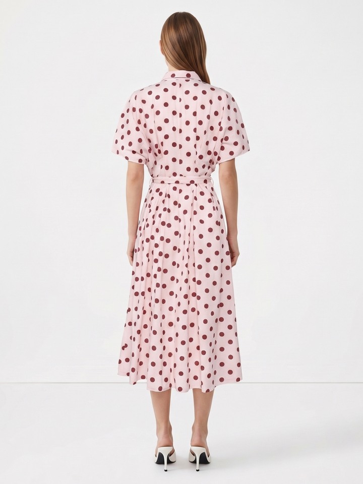 Erine Polka Dress
