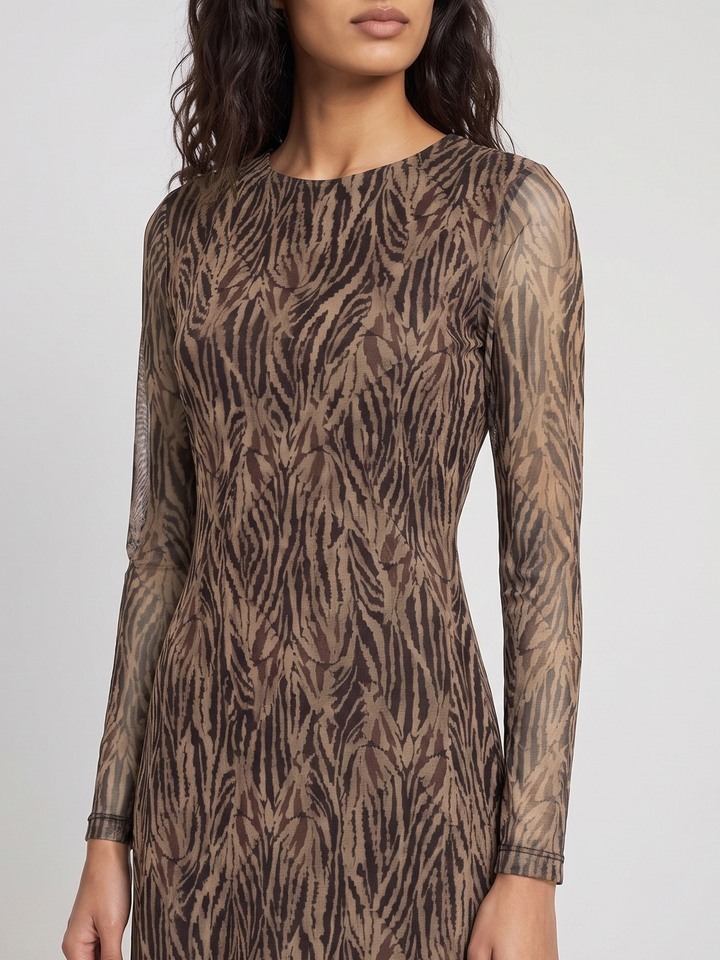 Kasia Brown Printed Dress