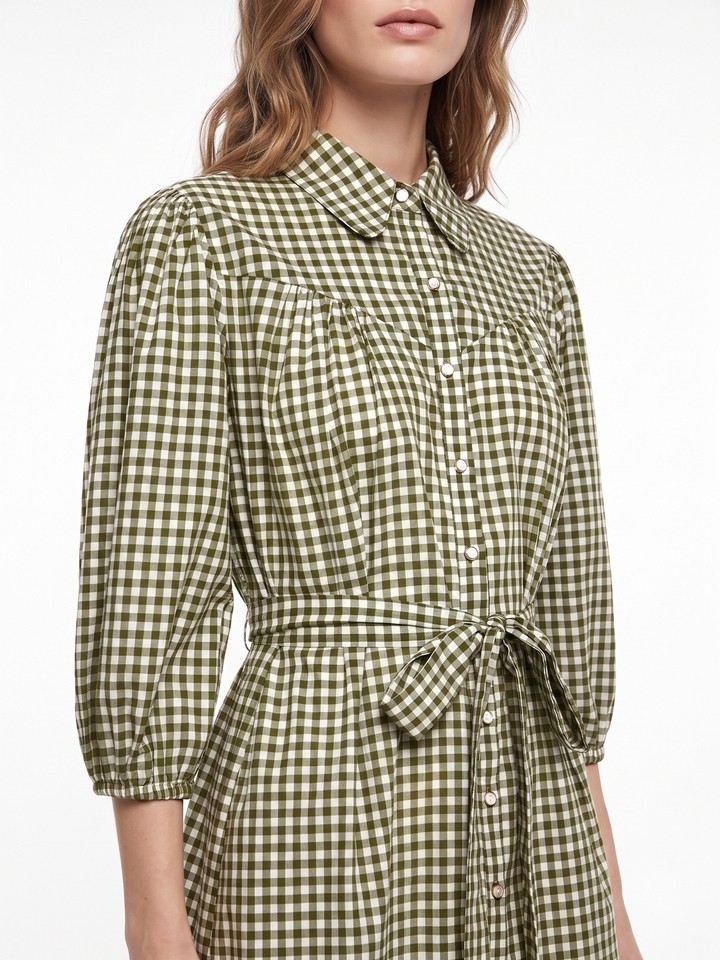 Anine Olive Green Dress